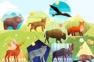 Read more about the article Biodiversitatea României – O comoară naturală europeană