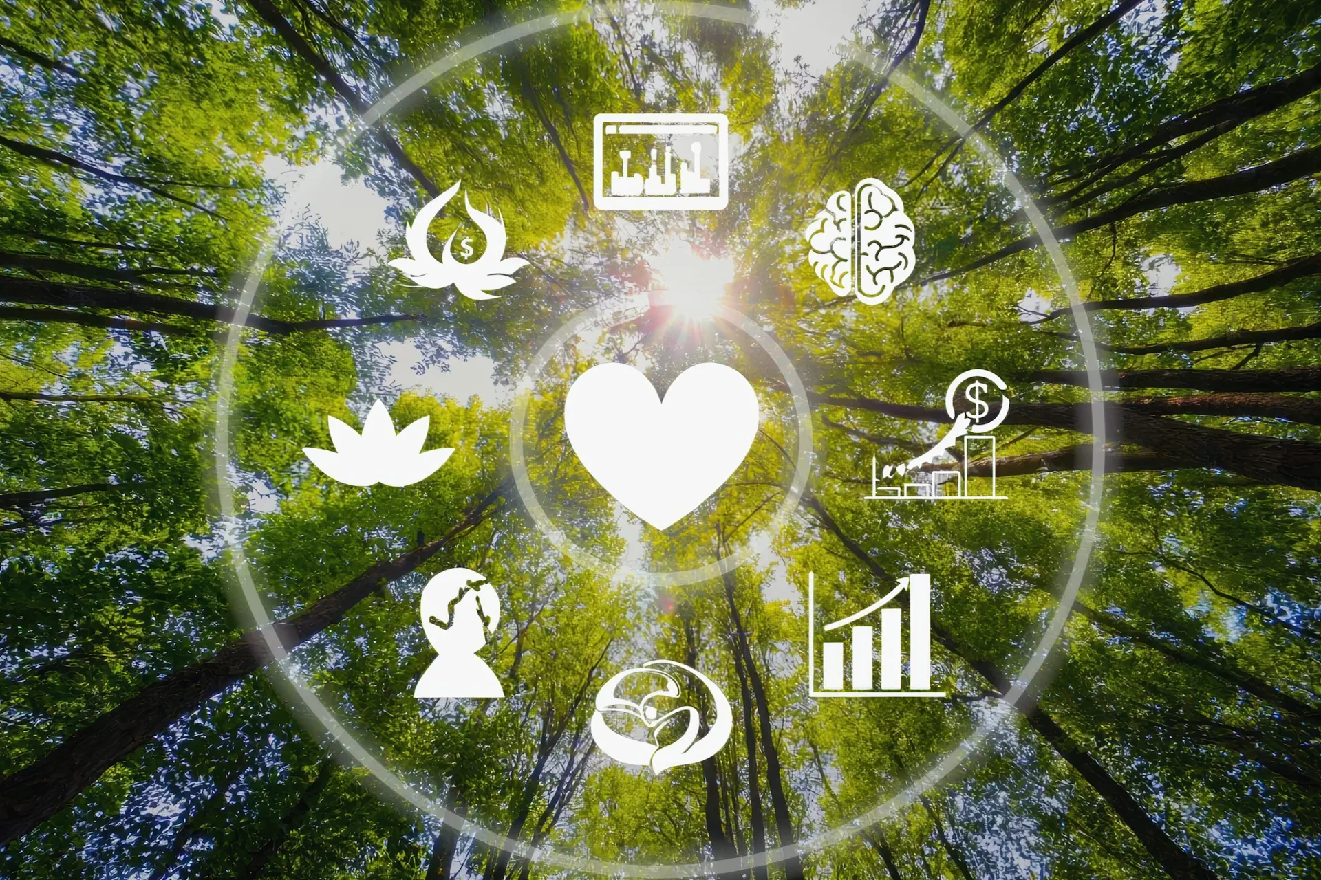 Read more about the article Criza ecologică şi educaţia pentru mediu: o responsabilitate globală și personală