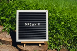 Read more about the article Grădinăritul organic – o revenire la echilibru, natură și sănătate