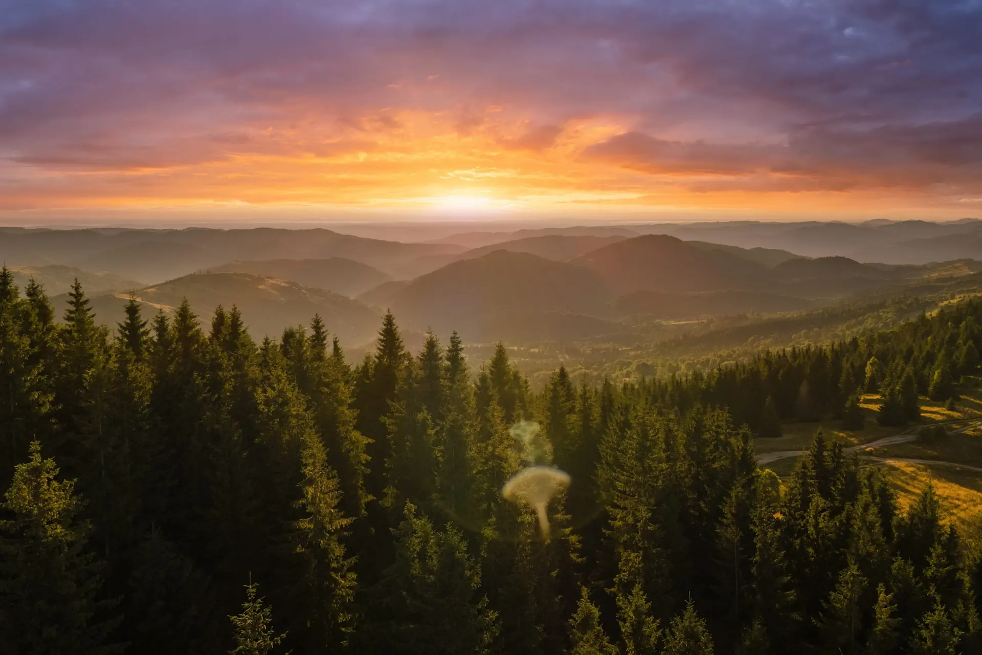 Read more about the article În inima naturii pure: Trasee magice prin pădurile virgine ale României